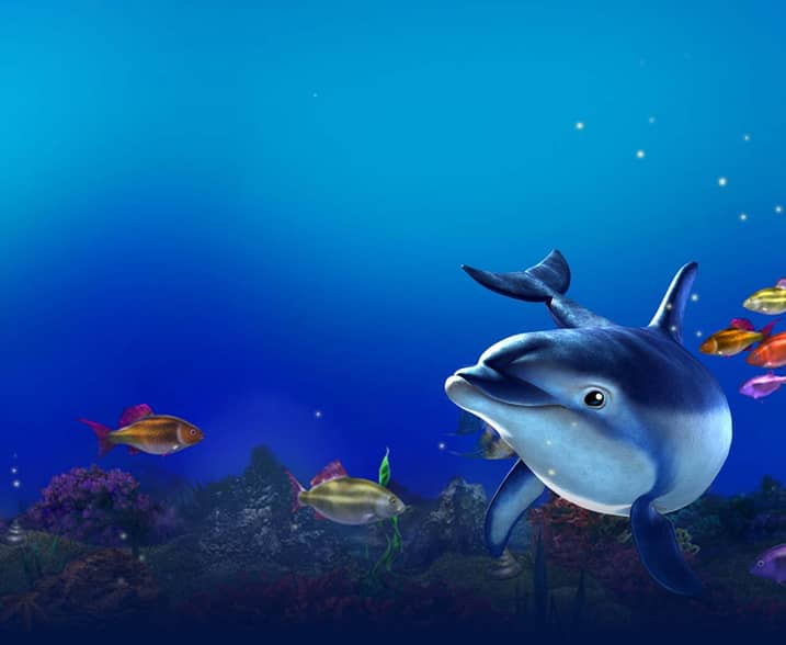 Dolphins Pearl Deluxe