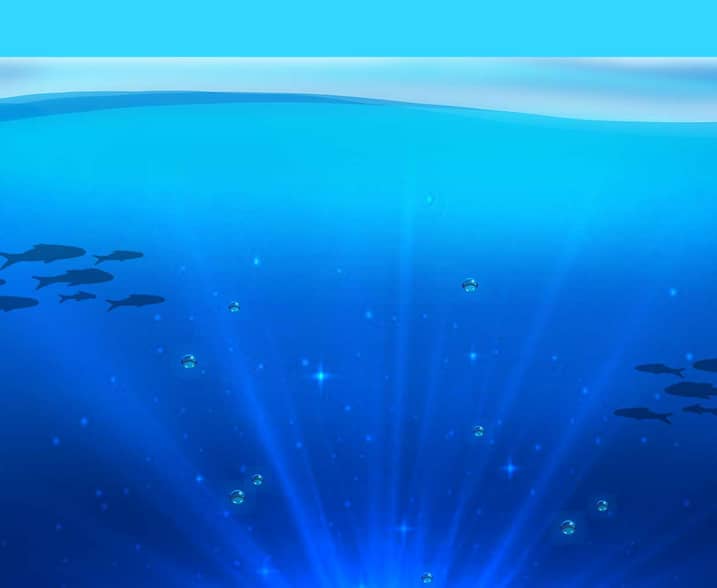 Fishin' Deeper Floats of Cash