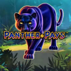 panther-paysx-SingleTile-1000x1000.jpg