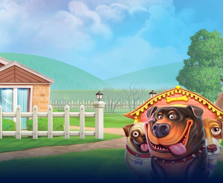 The Dog House