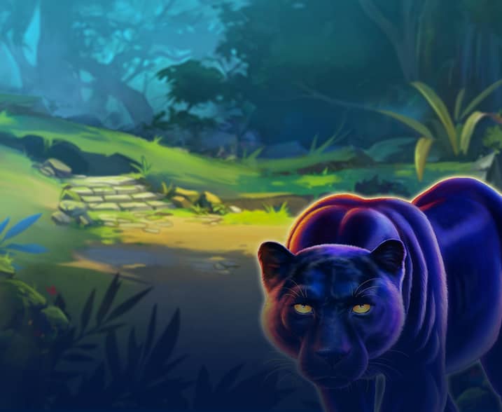 Panther Pays