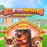 The Dog House Megaways