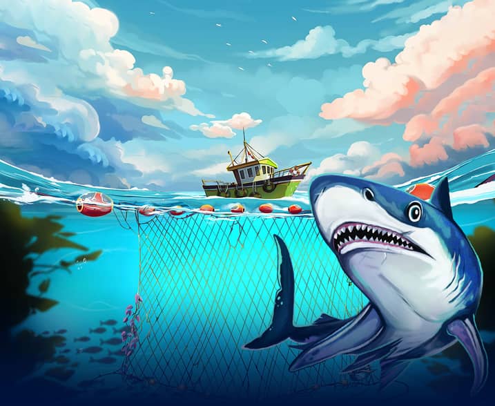 Holy Mackerel! Shark Bait