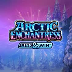 WHC_60320_Arctic_Enchantress_Vegas_Alchemy_GTs-1000x1000.jpg