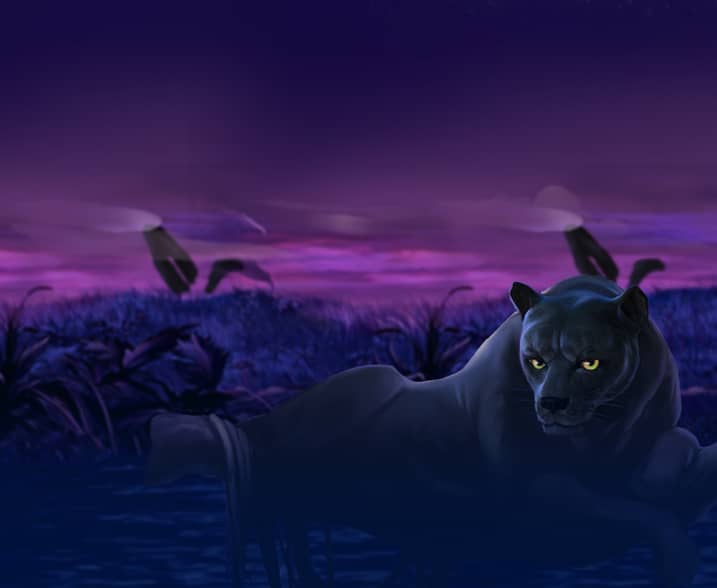 Panther Moon