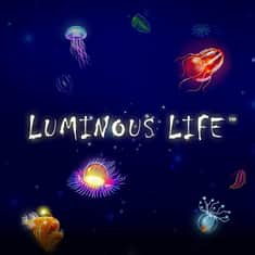 luminous-lifem94395_wh_Alchemy_LuminoousLife-SingleTile-1000x1000.jpg