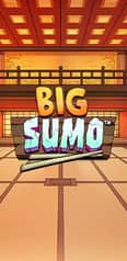 EC-8071_WH_Big-Sumo_functional-_lo_222x456px.jpg