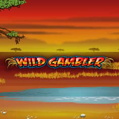 wild-gamblerWild_Gambler_x-SingleTile-1000x1000.jpg