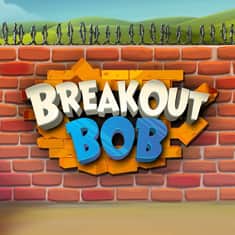 breakout-bobx-SingleTile-1000x1000.jpg