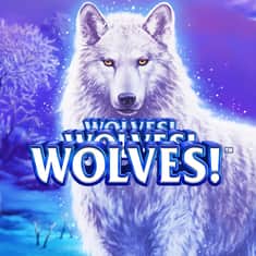 wolves-wolves-wolvesx-SingleTile-1000x1000.jpg