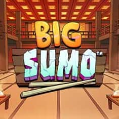 EC-8071_WH_Big-Sumo_functional-_lo_222x222px.jpg