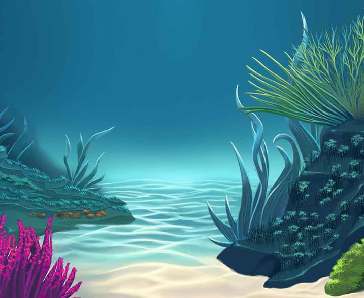 Fish Trio