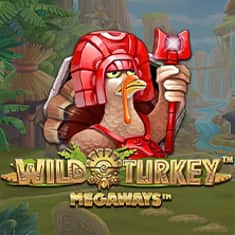 15. EC-4186_WH_Wild Turkey Megaways_li_222x222px.jpg