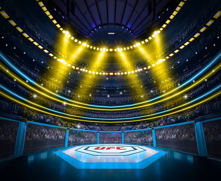 UFC Gold Blitz Ultimate