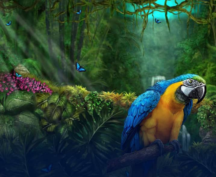 Heart of the Jungle