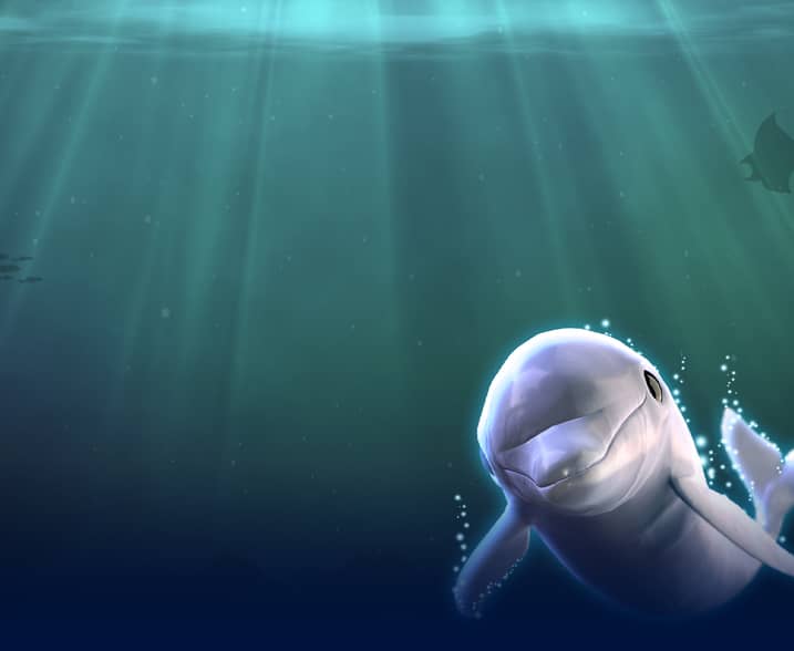 Aquatic Treasures