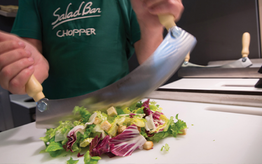 Producteurs Salade France - Production Salade - Plaine du Roussilllon