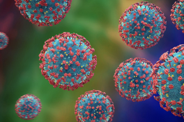 WASH in national AMR action plans