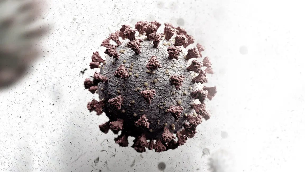 Close-up of a virus particle with reddish-brown spike proteins against a white background.