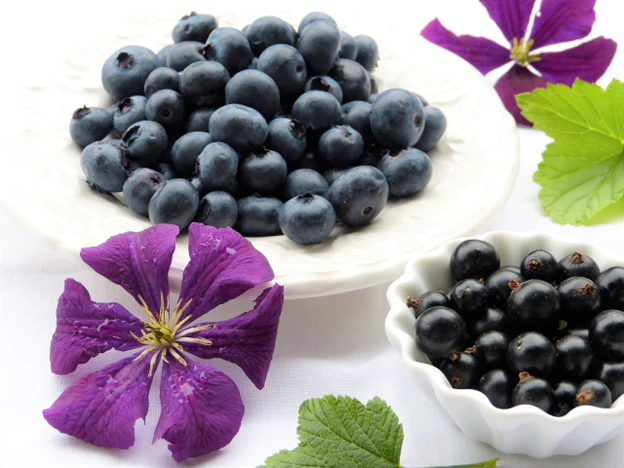 12 Foods that Boost the Immune System | Schiff Vitamins