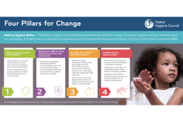 Infographic: Making Hygiene Matter Report