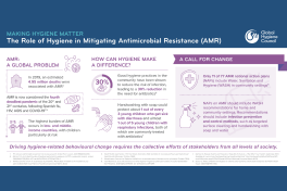 Infographic: Making Hygiene Matter