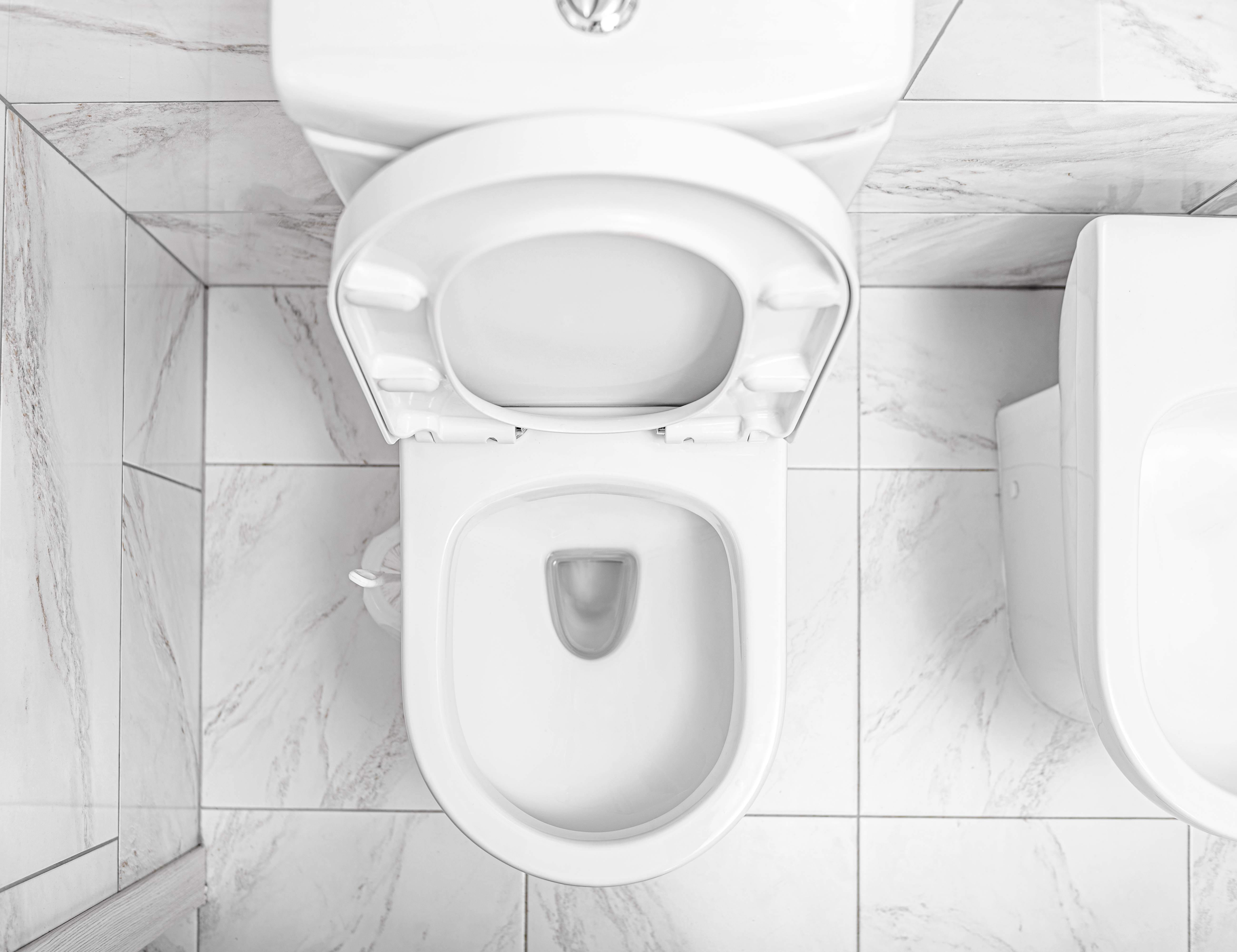 Desinfetante para vaso sanitário: tudo que você precisa saber