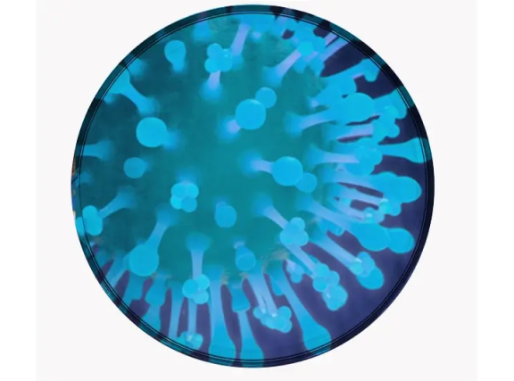 Image of cold virus under a microscope