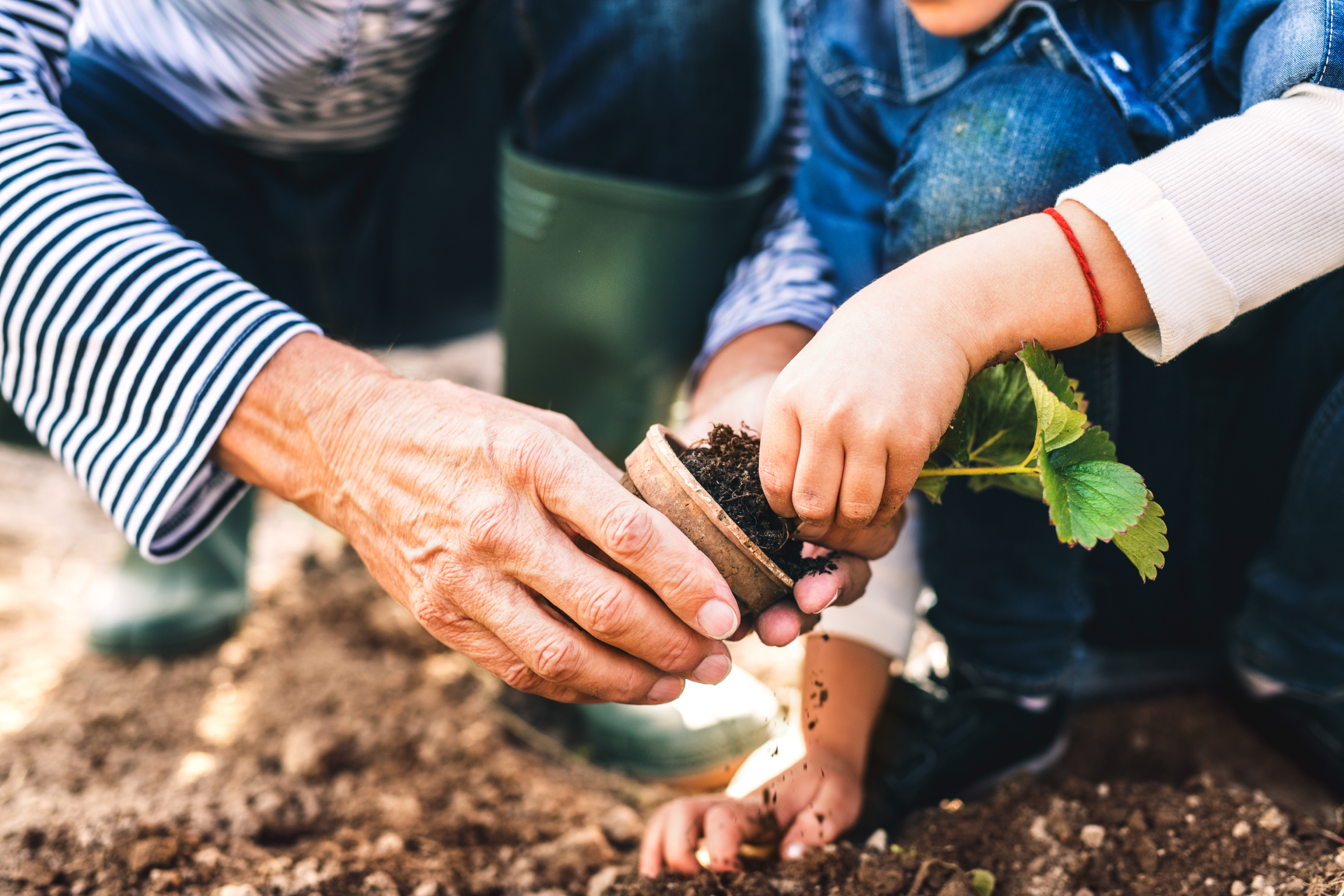 A person wearing gloves plants a small sapling in soil, with others blurred in the background.