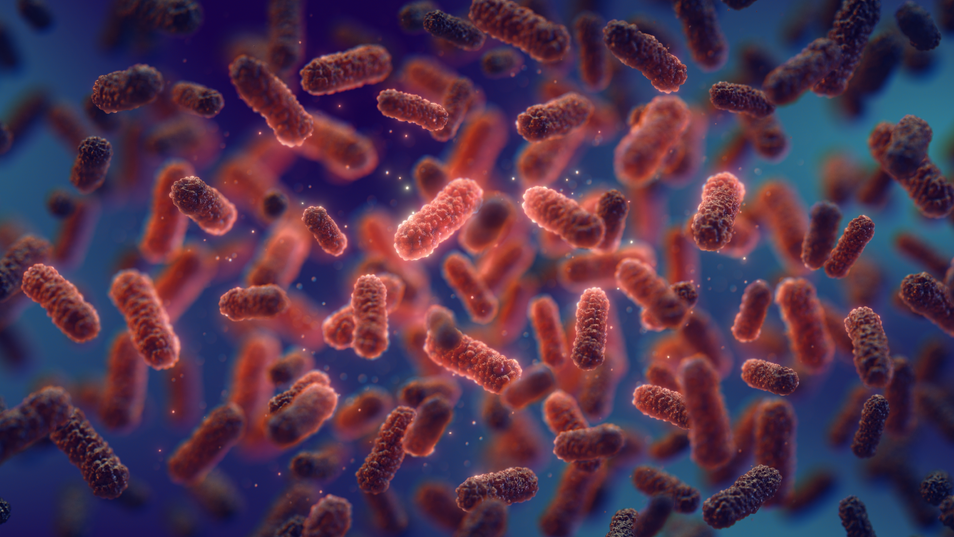 a group of germs