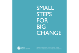 Report: Small Steps For Big Change