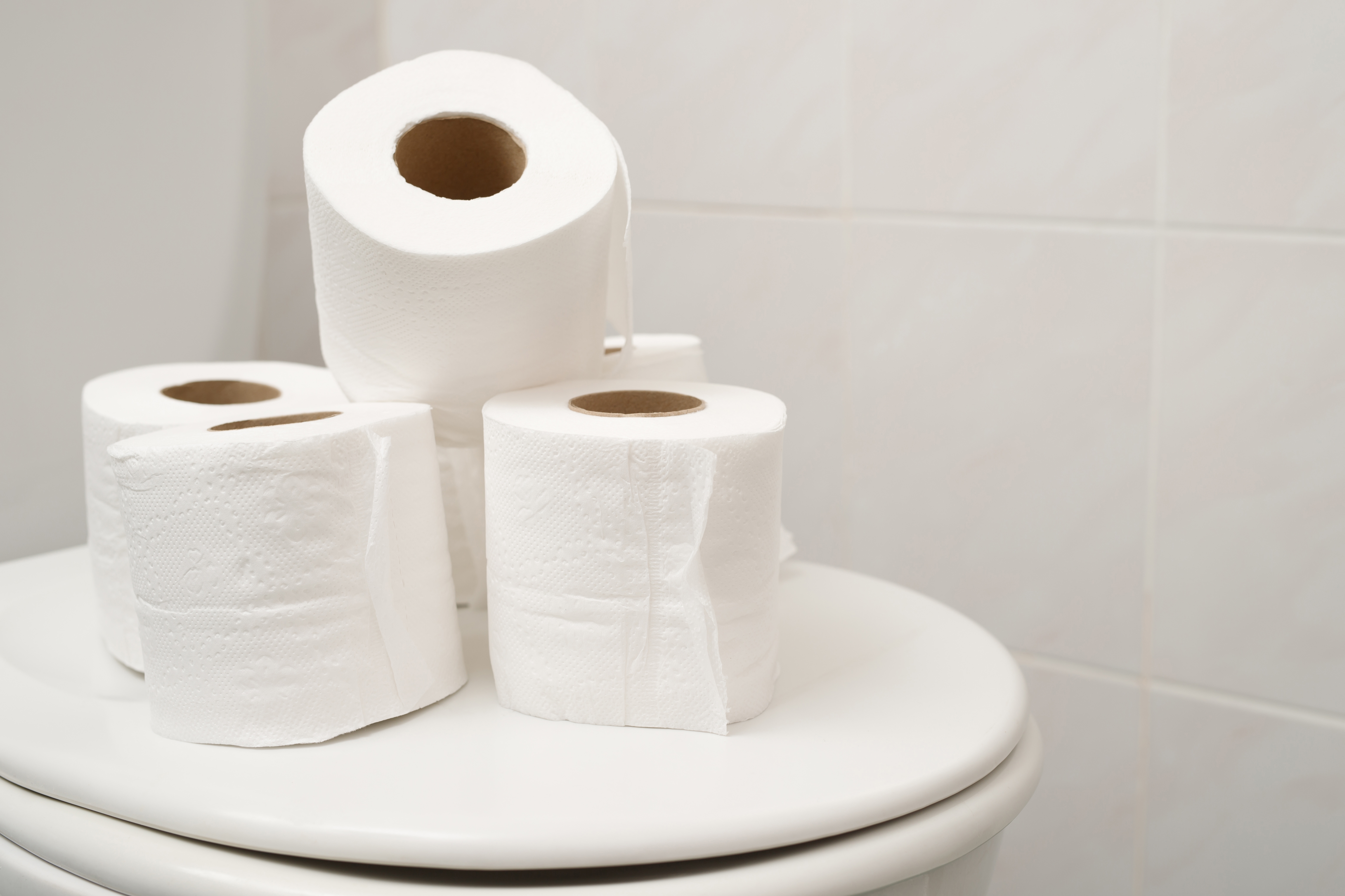 How to Clean a Toilet Bowl without Paper Towels