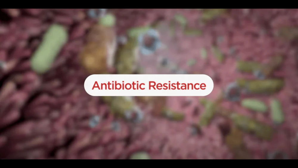 Antibiotic resistance animation