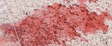 the-sleepover-a-parent-s-survival-guide