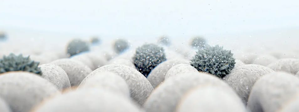 How Long Do Germs Survive on Cloth: Shocking Facts Revealed
