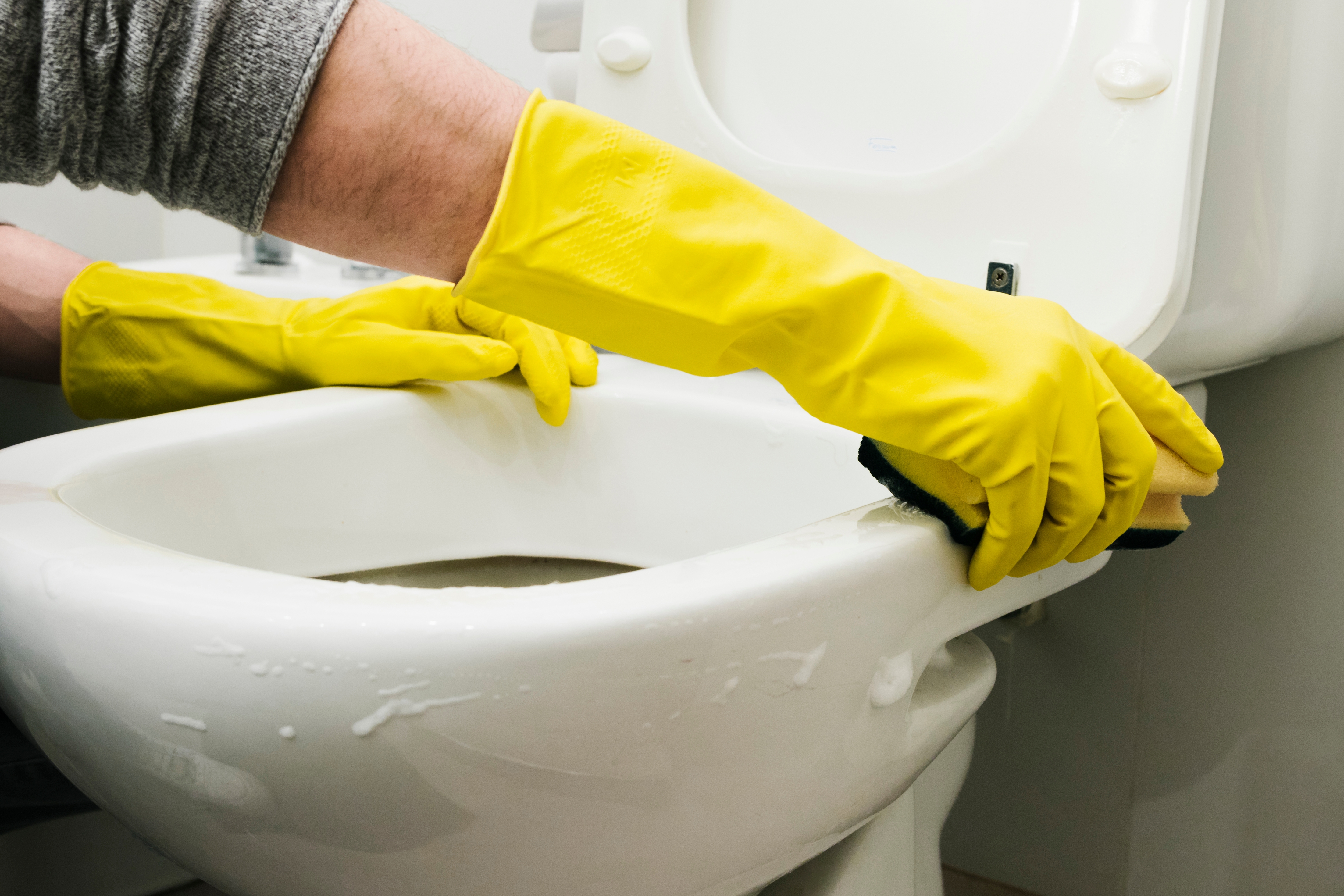 How To Clean And Sanitize A Toilet Seat To Kill Germs