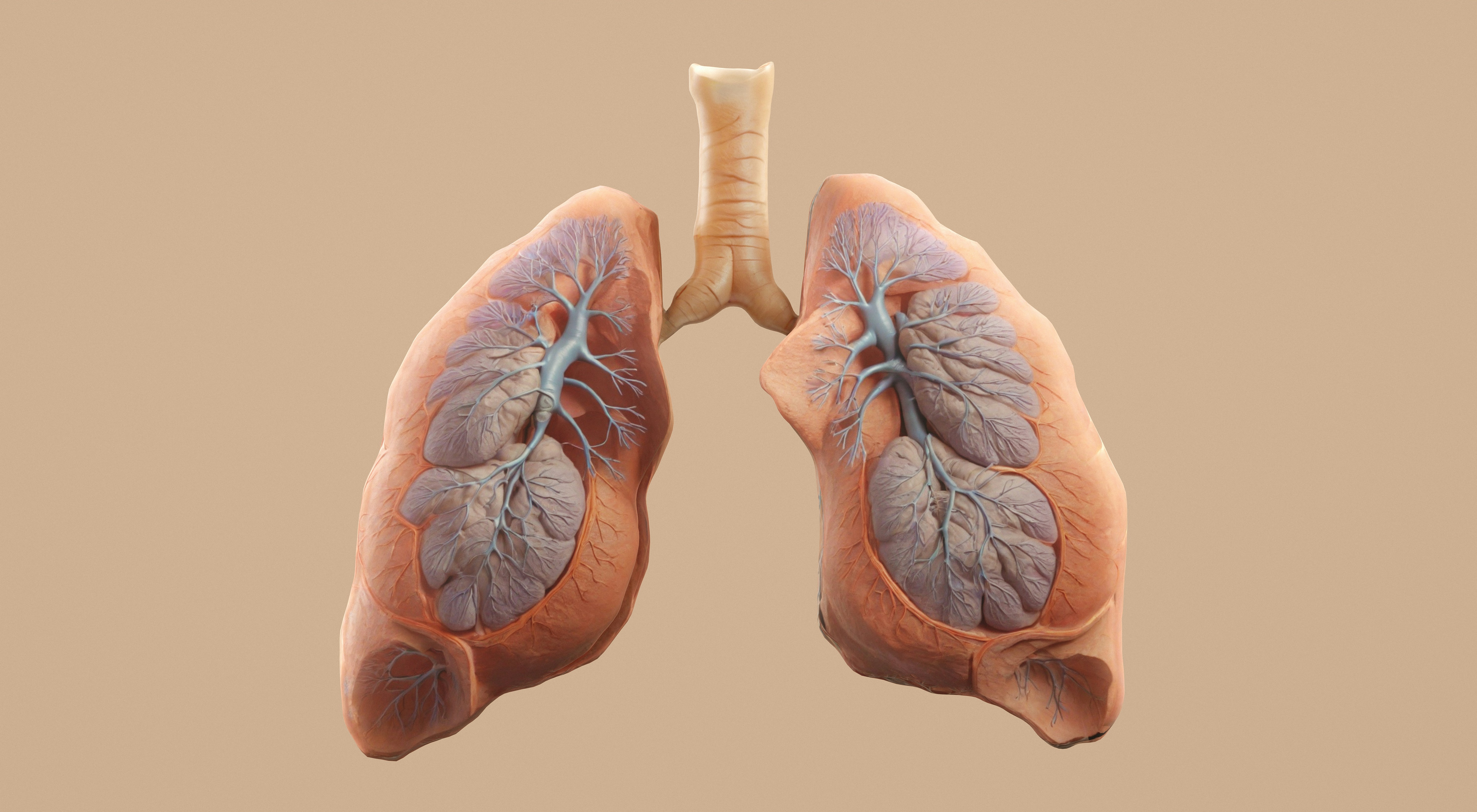 Exercises to Remove Mucus from Lungs