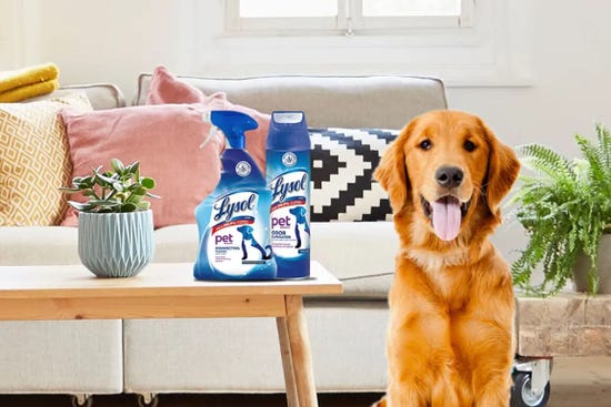Tough pet messes? Meet your new best friend.