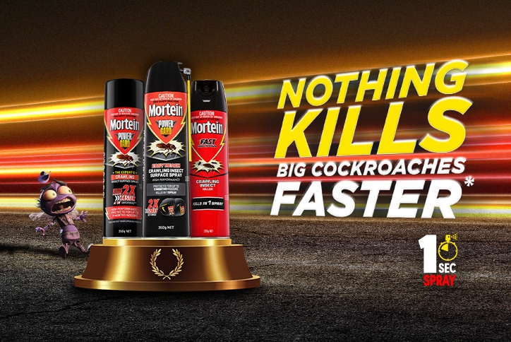 Nothing-kills-faster-listing-page