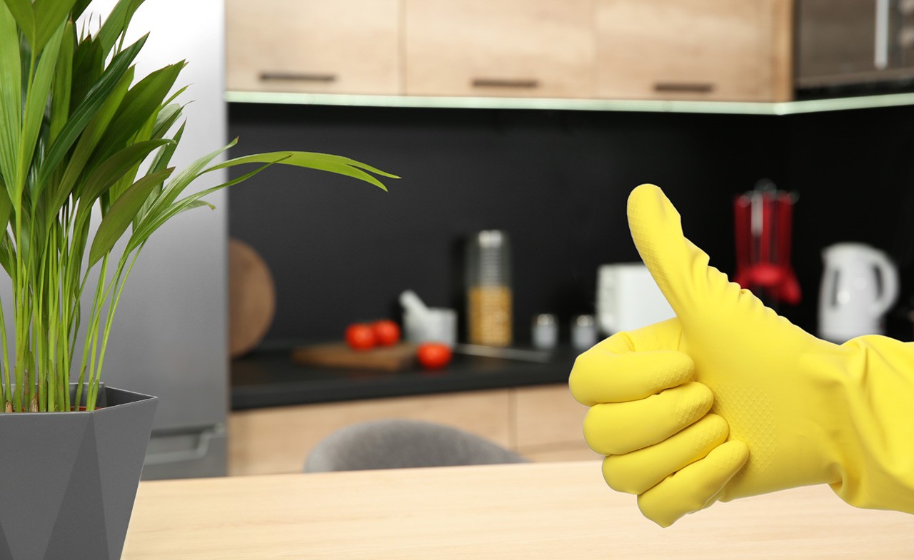 Disinfect to protect