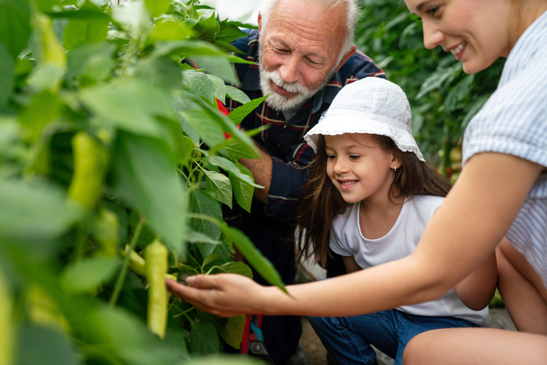 A young girl with a white hat, an elderly man, and a woman are looking at plants in a garden.