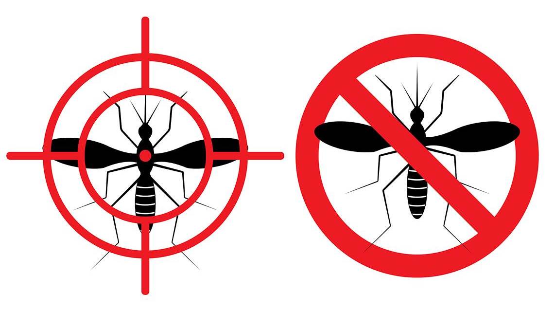 Mosquito how to kill discount