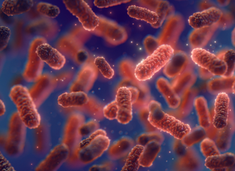 a group of germs