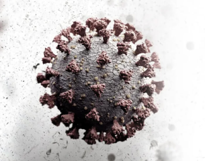 An artists impression of the COVID-19 virus