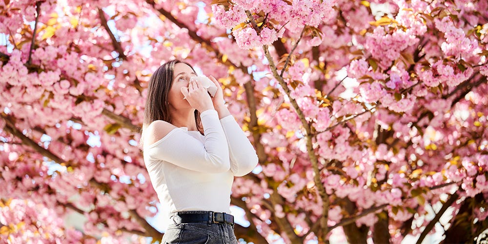 A woman stands under a blooming cherry blossom tree, holding a handkerchief to her face.