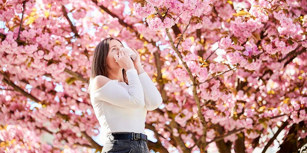 A woman stands under a blooming cherry blossom tree, holding a handkerchief to her face.