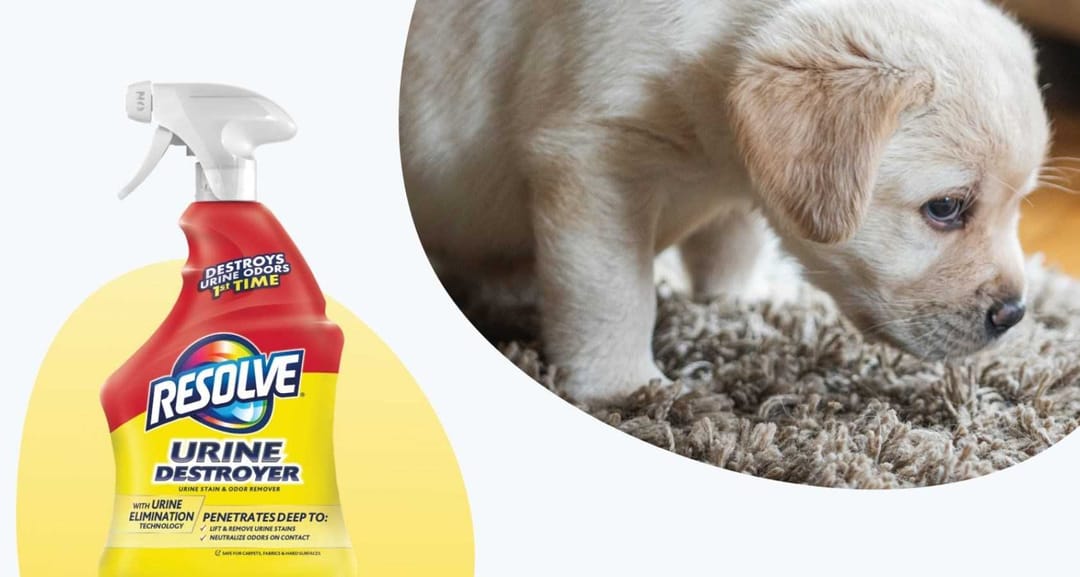 Resolve Cleaning Products | Resolve® US