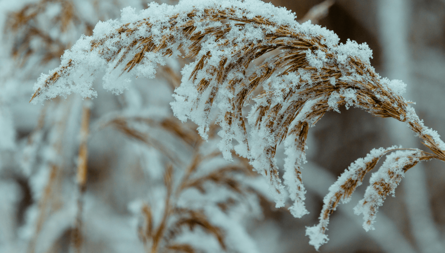 When does cold and flu season start