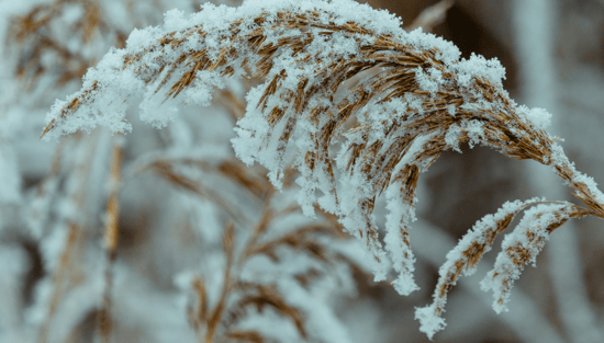 When does cold and flu season start