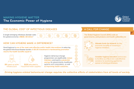 Infographic: Making Hygiene Matter Report